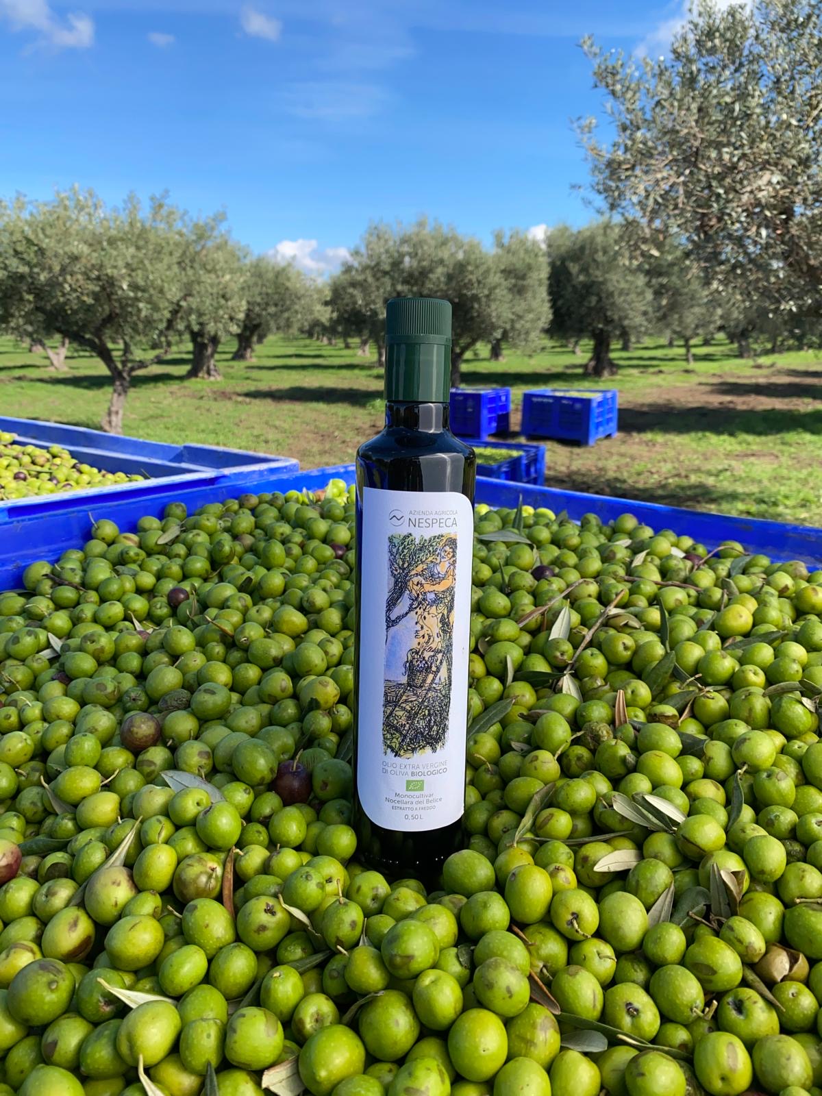 ネスペカ エキストラバージンオリーブオイル BIO IGP シチリア ノチェラーラ・デル・べリーチェ 250ml