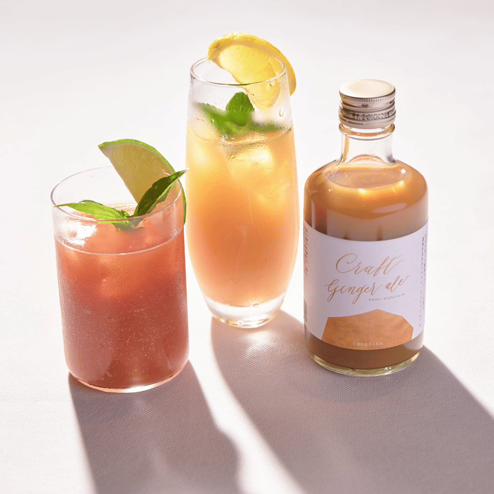 クラフトジンジャーエール 300ml(希釈タイプ)