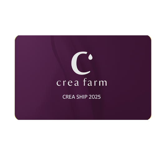 crea ship 法人プラン