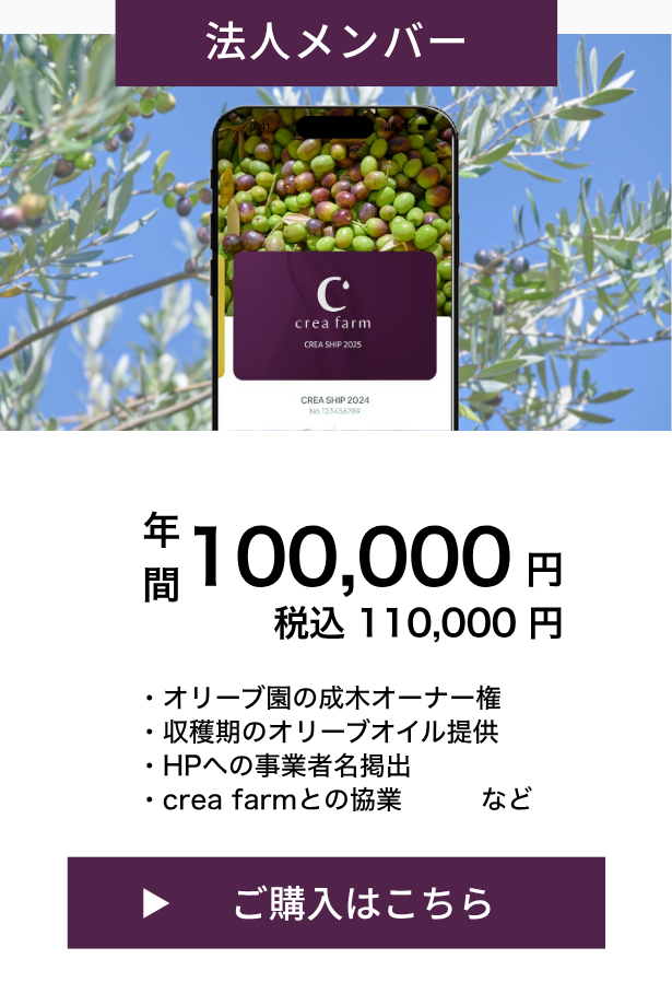 creaship 法人メンバー