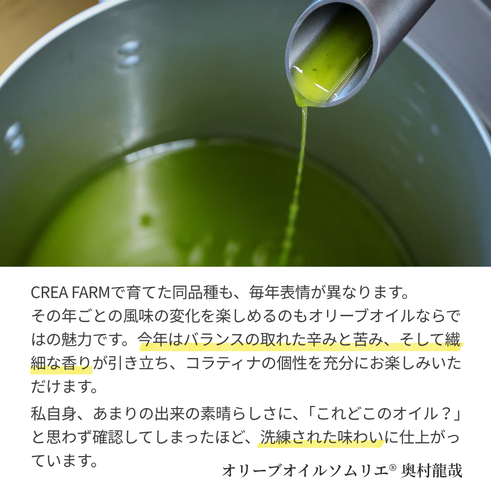 【限定販売】国際コンテスト連続金賞受賞 コラティナ種 静岡産 エキストラバージンオリーブオイル