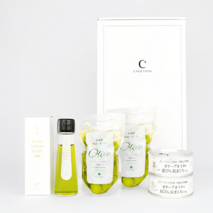 オリーブ畑の贈り物 5点セット