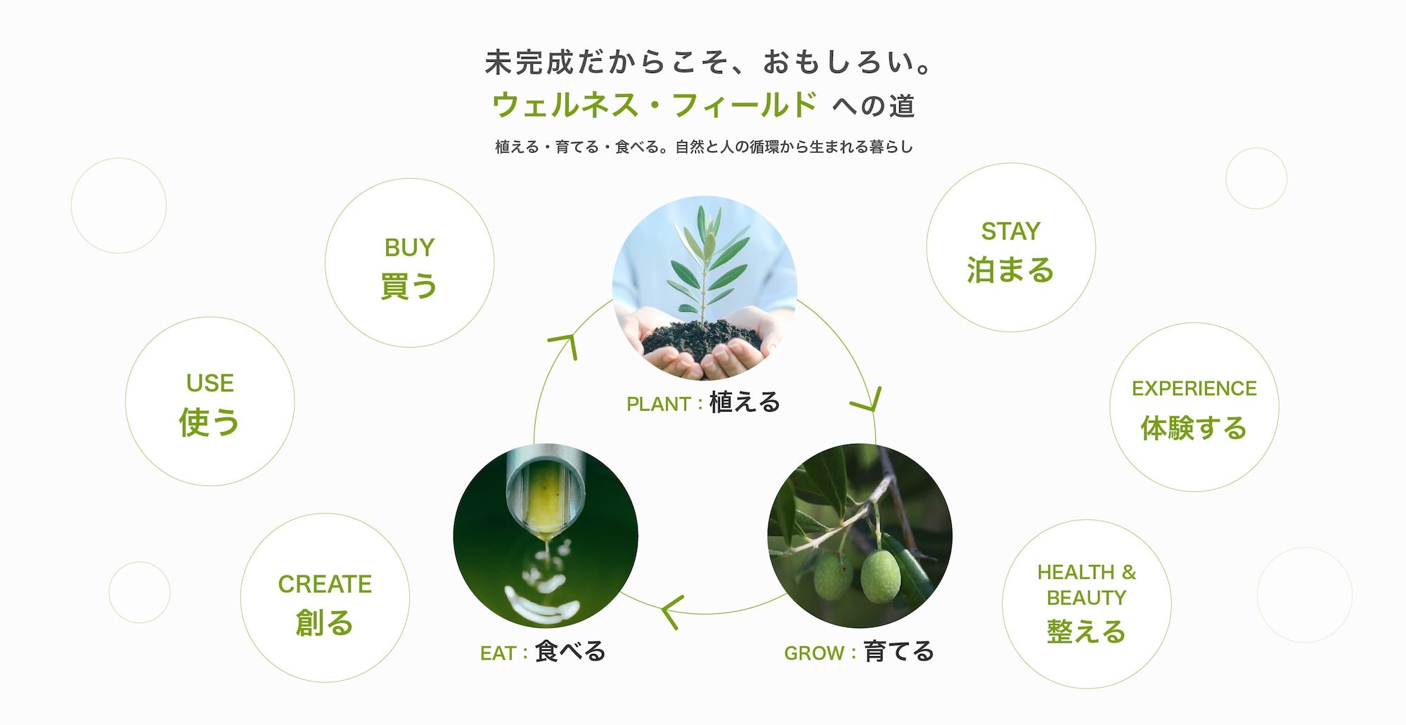 テキストを入力